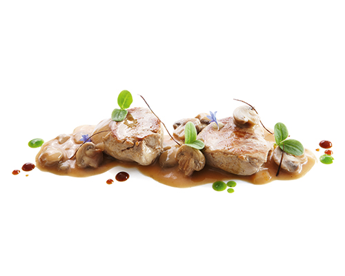 Medaillons vom Schweinefilet in der Pfanne gebraten, in Champignonrahmsauce.