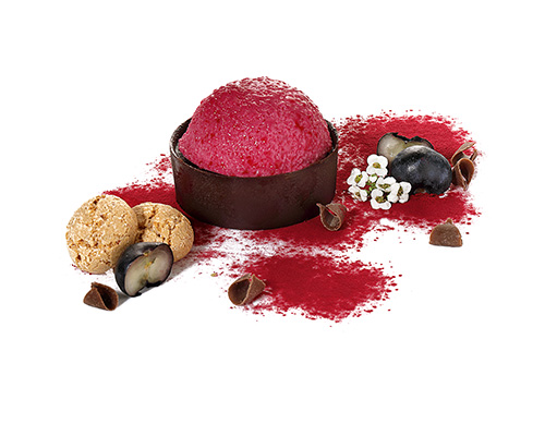 Blueberry amarettini tart Vanilla sour cream, with blueberry foam and amarettini, in a crispy chocolate tartelette, ø 5 cm.