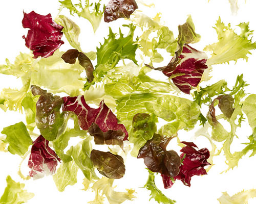 Fresh salad mix "Bravo" Iceberg lettuce, radicchio, frisée and oak leaf lettuce.