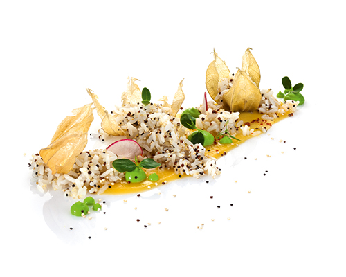 33500020 Quinoa-Langkornreis mit weißer und roter Quinoa, saftig gegart.