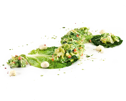 32900631 Wirsing in Rahm mit geschnittenem grobblättrigem Wirsing und kleinen Gemüsewürfeln.