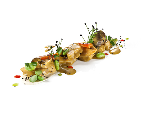 Paski kurczaka w stylu azjatyckim z sezamem, mango, grzybami shiitake, mlekiem kokosowym, soją i fasolą mung.