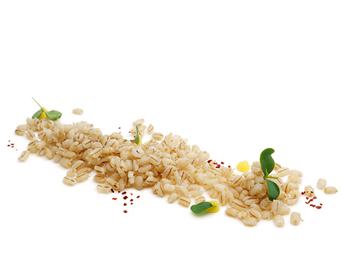 Lightly salted pearl barley, cooked.