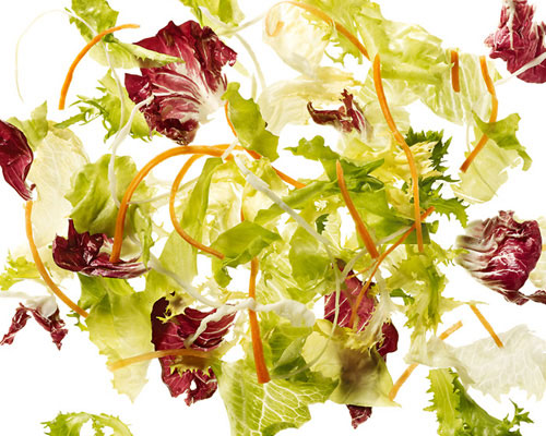 Frischsalatmischung "Alpha" Eisbergsalat, Endiviensalat, Weißkraut, Frisée, Radicchio und Karotten.
