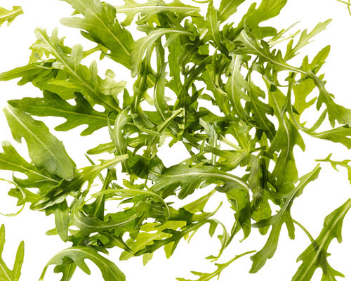 Junger Ruccola gewaschen und grob entstielt.