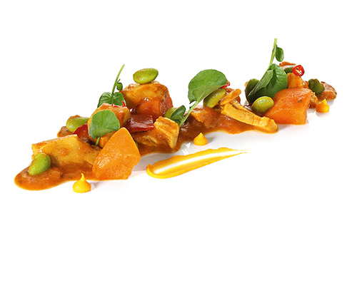 Veganes Tikka Masala veganer Hähnchenersatz auf Erbsenproteinbasis in würziger Tomaten-Kokos-Sauce, mit einer bunten Gem üsemischung