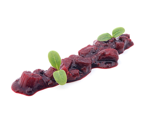 Holunder-Rhabarber-Ragout