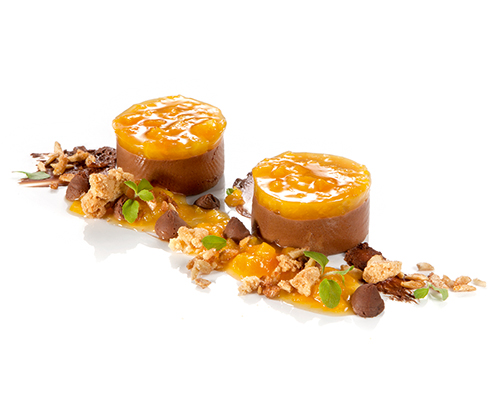 Aprikosenragout auf Schokoladenmousse zartschmelzende Mousse au Chocolat, mit Aprikosentopping, ø 5 cm.