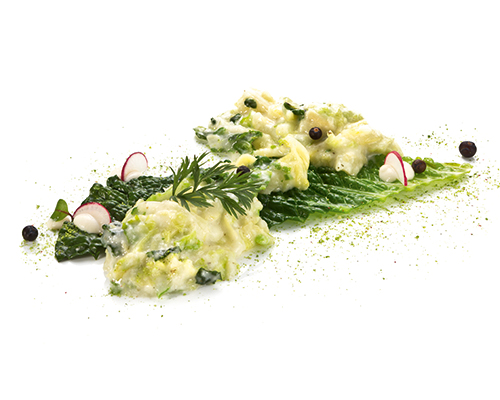 Savoy cabbage in cream with sliced coarse-leaved savoy cabbage, sliced.